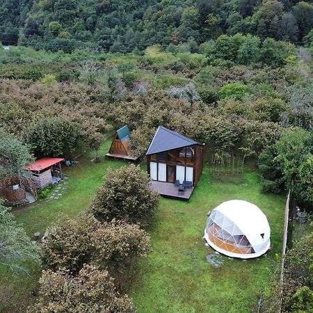 Ozurget'i Dumbo Eco Camp酒店 外观 照片