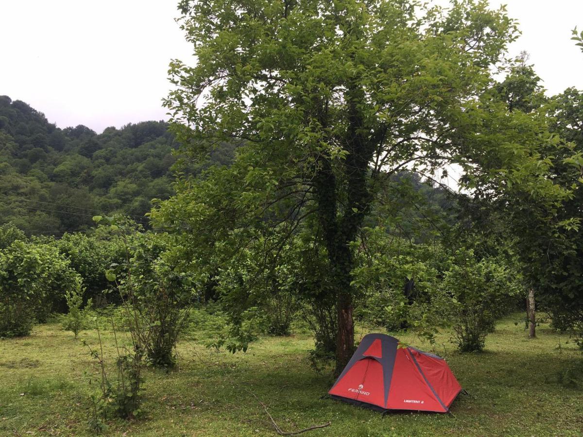 Ozurget'i Dumbo Eco Camp酒店 外观 照片