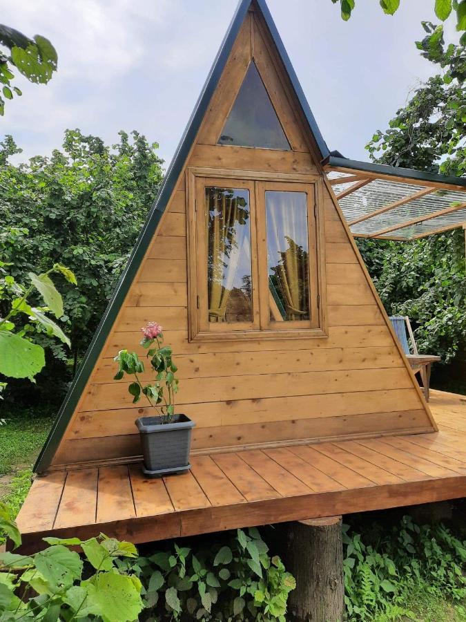 Ozurget'i Dumbo Eco Camp酒店 外观 照片